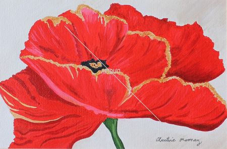 Red Poppy